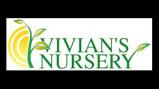 Vivian's Nursery