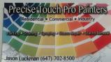 Precise Touch Pro Painting & More