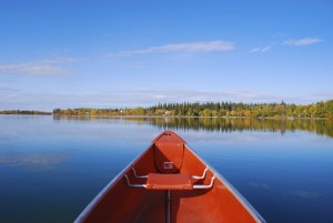 iStock_000008528116_Medium